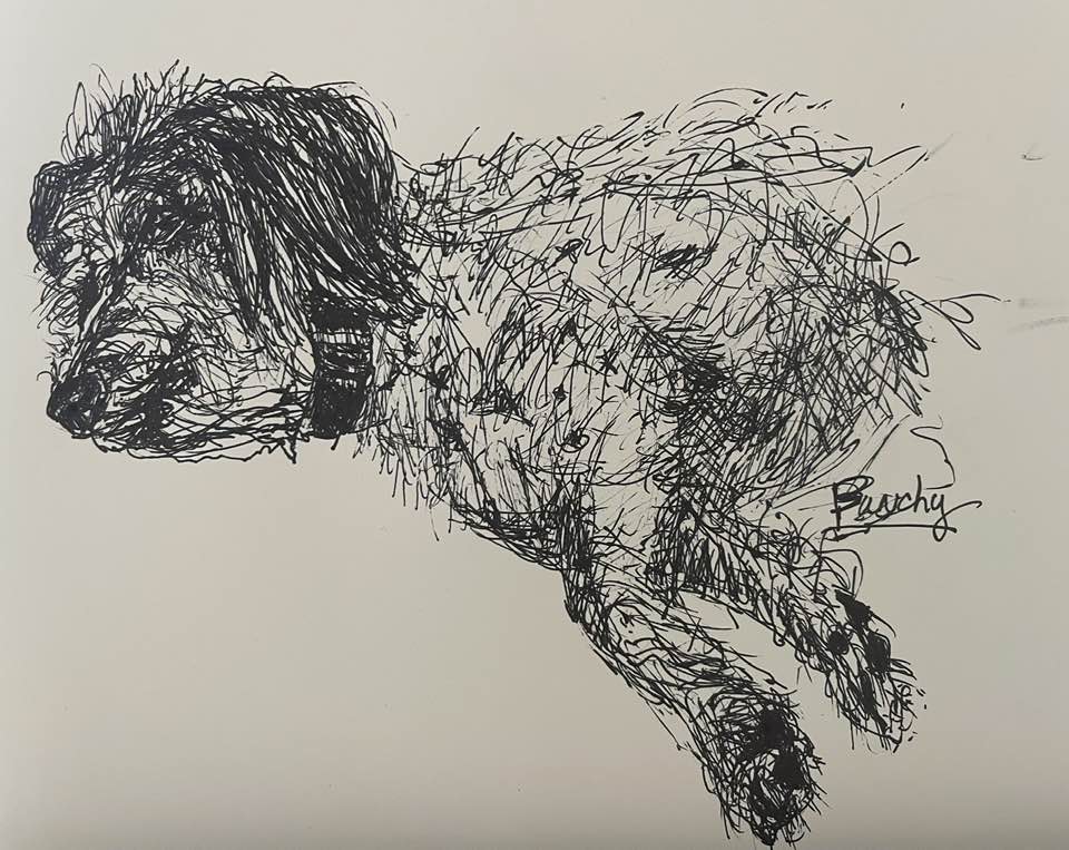 Bunchy listening along to one of my zoom art lessons. Ball point&nbsp;pen.