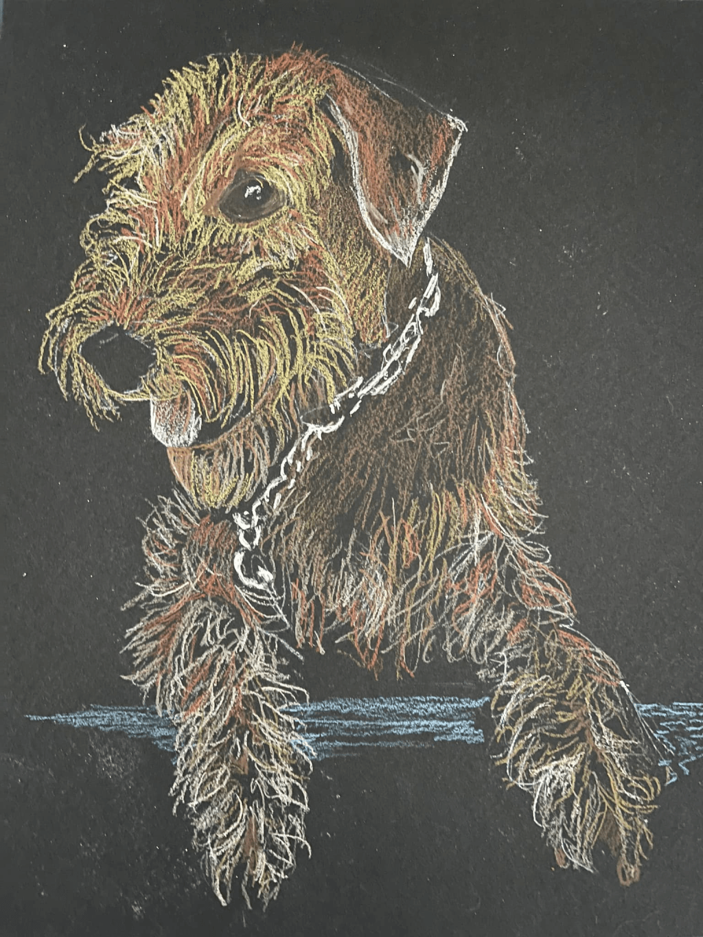 Just finished Cooper! Wendy and Kevin Cox’s puppy!!! Colored&nbsp;pencils.